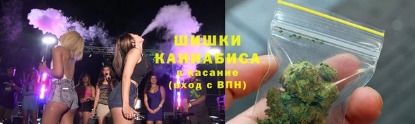 шишки Бронницы